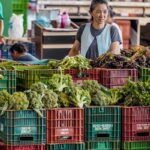 Anvisa inicia monitoramento de resíduos de agrotóxicos em alimentos