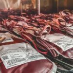 Dia Mundial do Doador de Sangue: uma única doação pode salvar 3 vidas