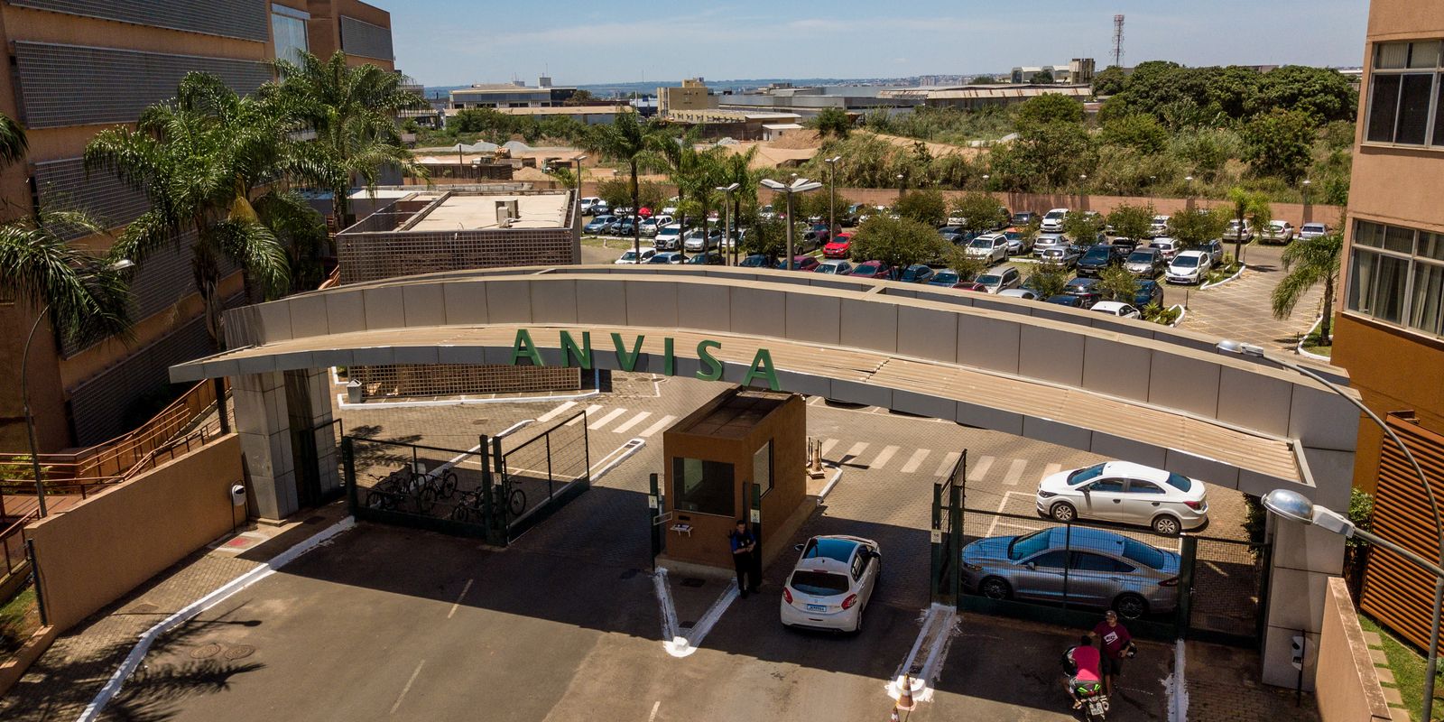 Anvisa proíbe venda de produtos de cannabis e cogumelos