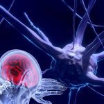 Unesco faz recomendação inédita para uso ético da neurotecnologia